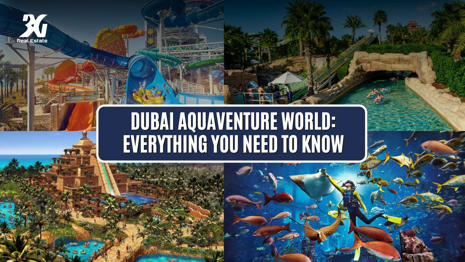 Dubai Aquaventure World: Everything You Need to Know